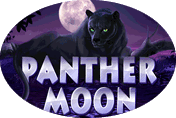 Panther Moon