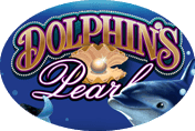 Dolphins pearl